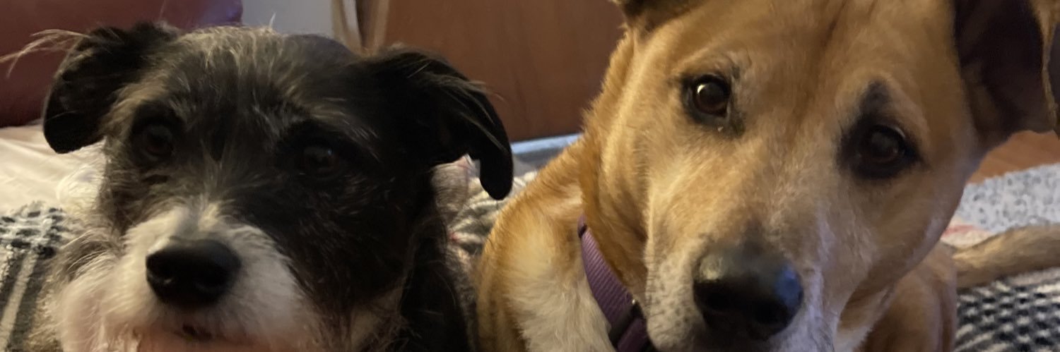 bugsy93's profile banner image