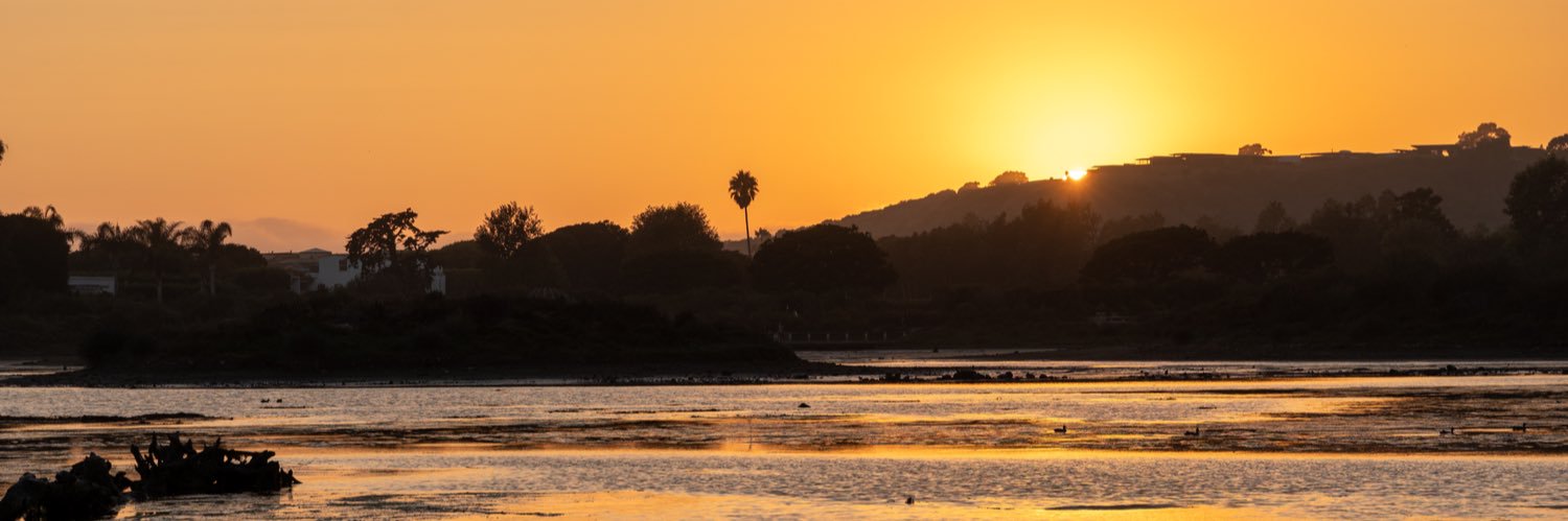 Patrick Campanale banner