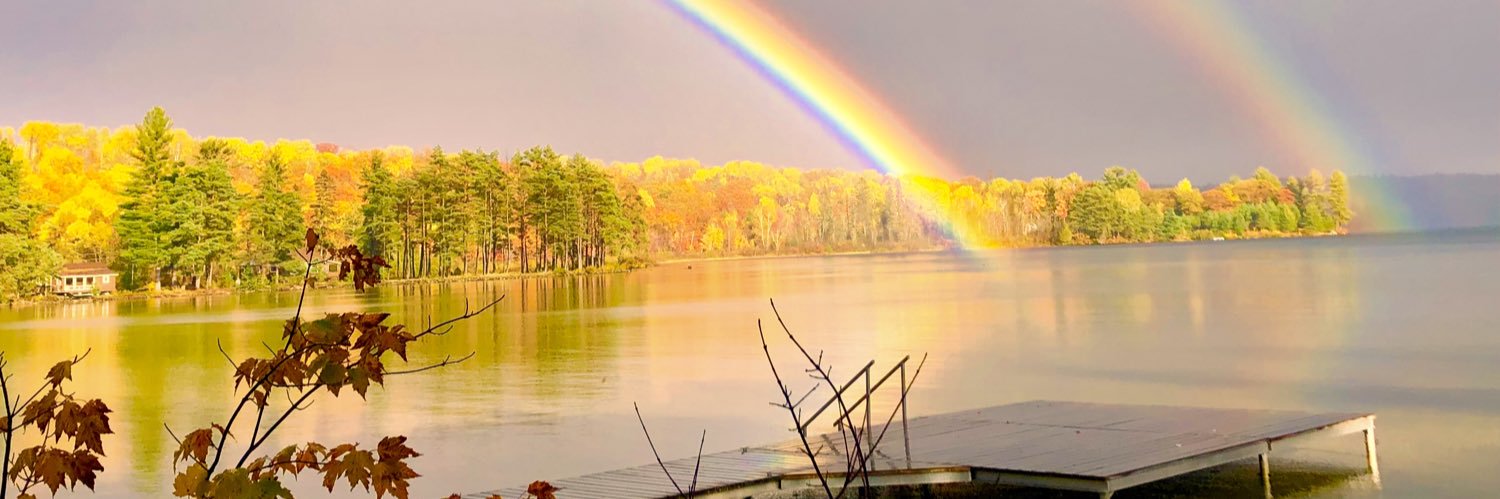 Patricia Tersigni | 🍀 She/Her banner