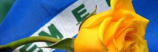 FranFlor6's profile banner image