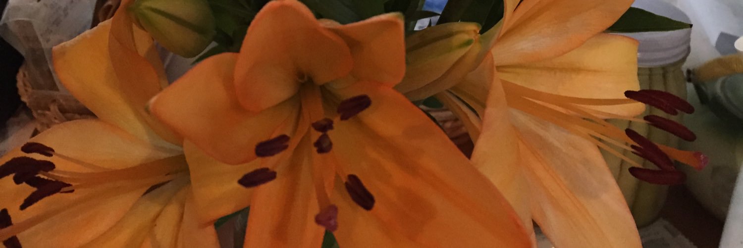 3Dq66's profile banner image