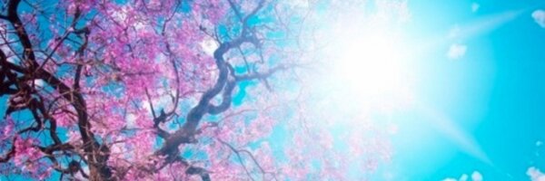 sofetchgretchh Profile Banner