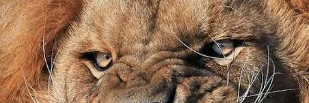 SaintEjus's profile banner image