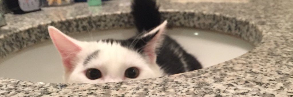 maeganpardue's profile banner image