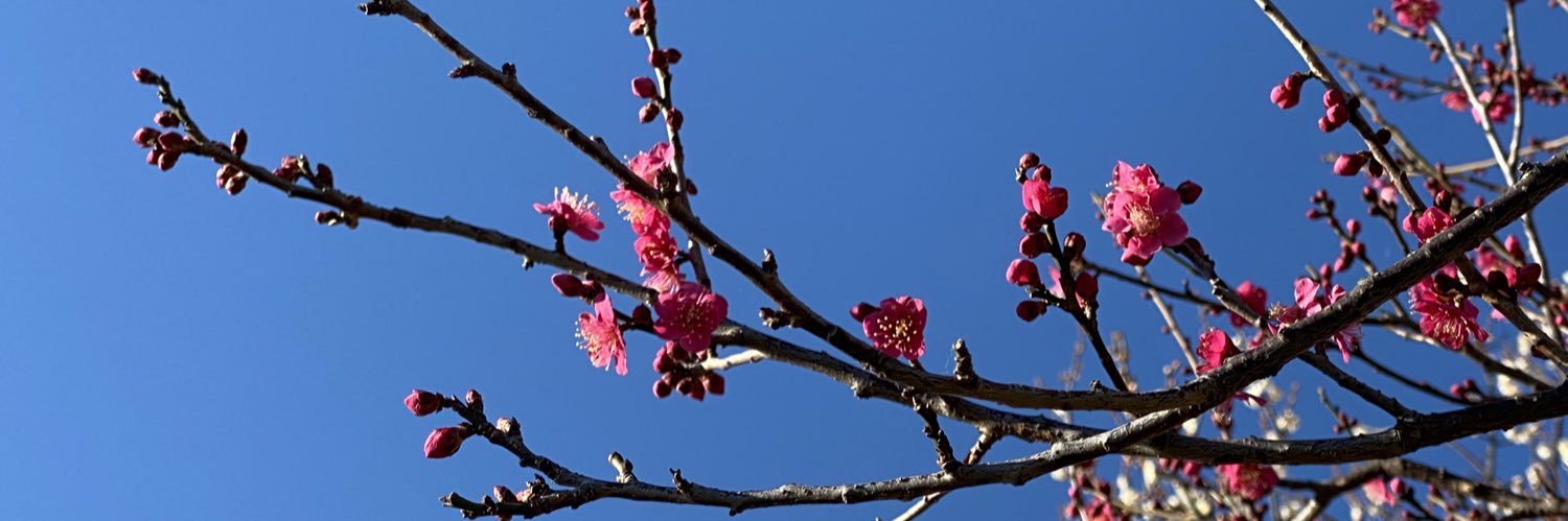 drken_AC's profile banner image