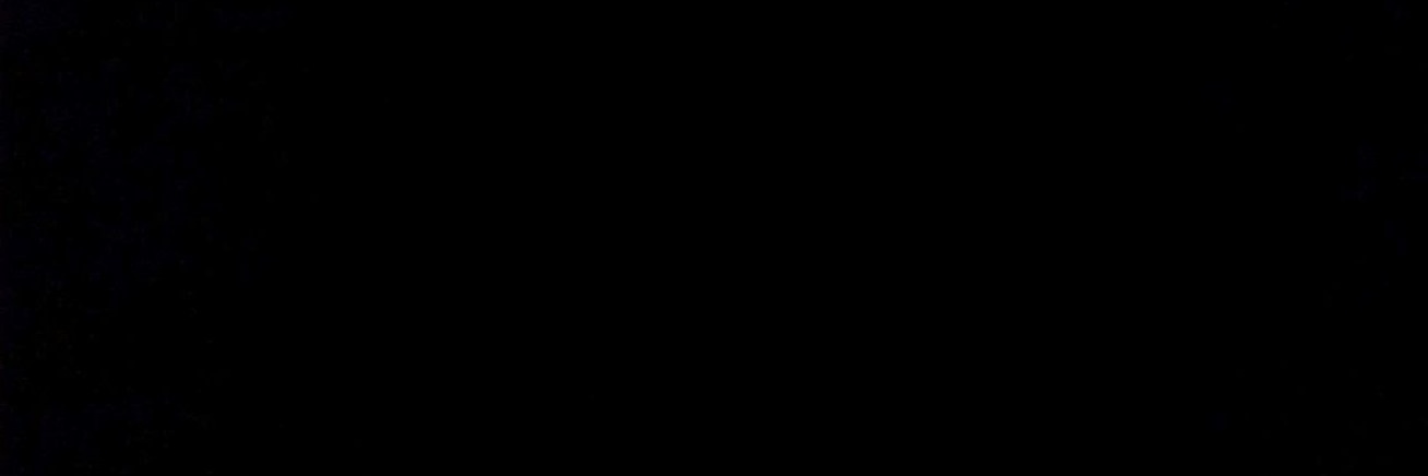 AnkoItoshi's profile banner image