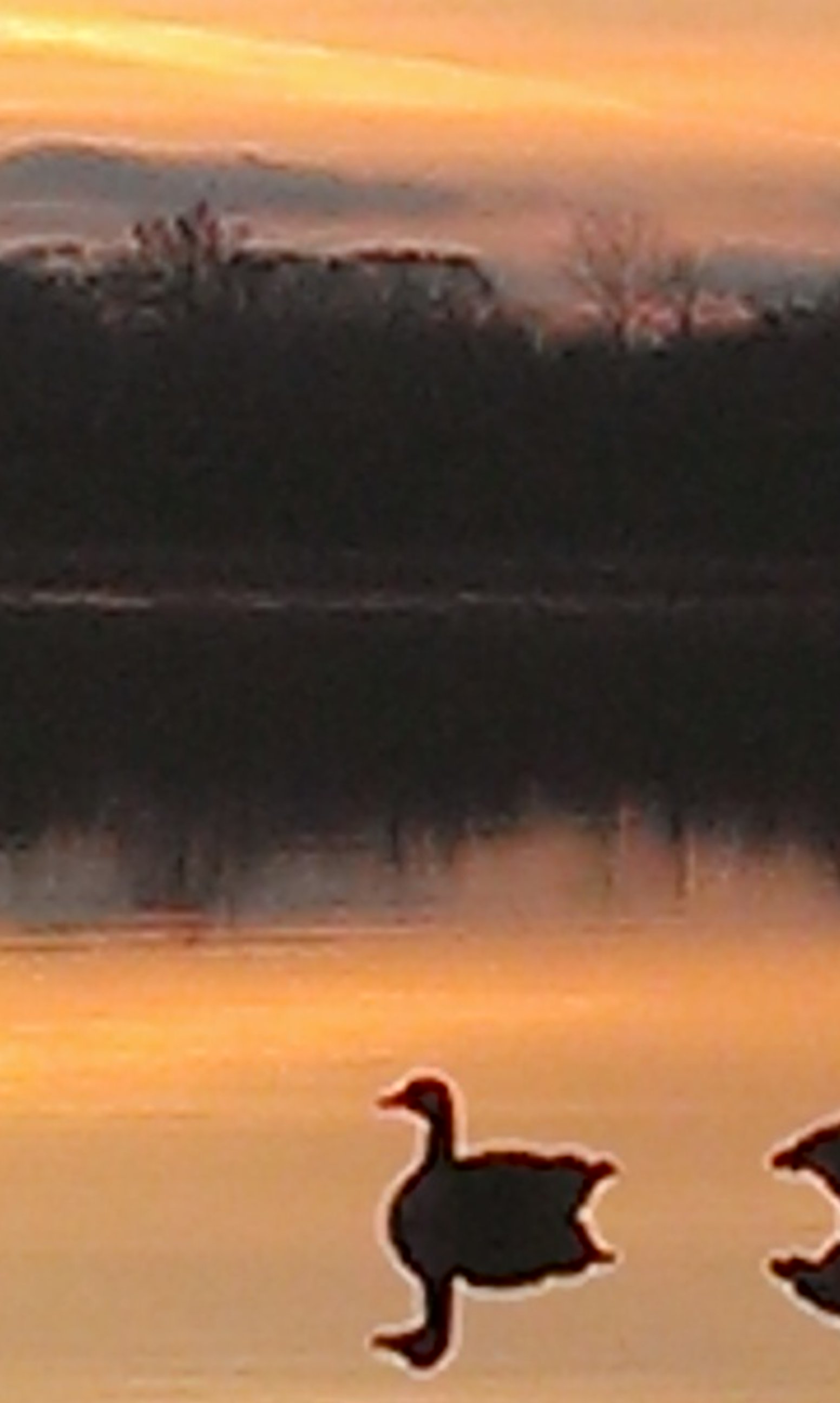 Frank_Marcomb's profile banner image