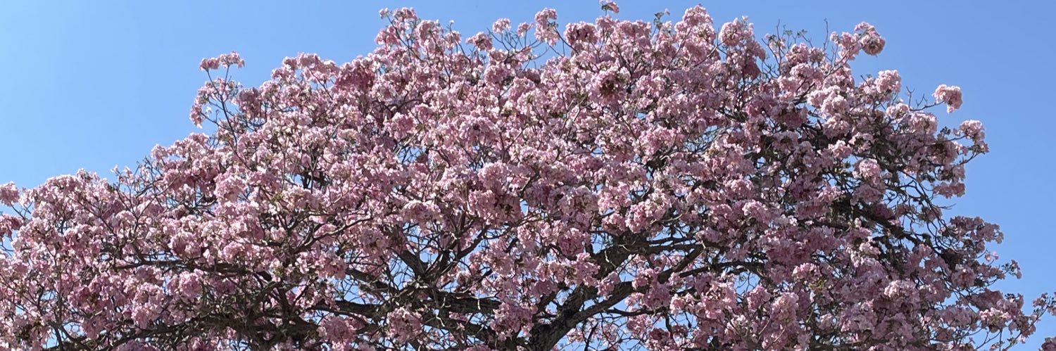 montesmt's profile banner image