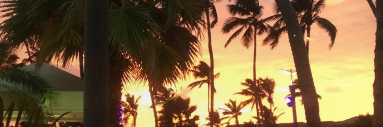 Michopolopski's profile banner image