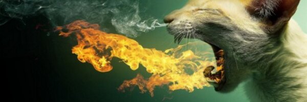 zzone120 Profile Banner