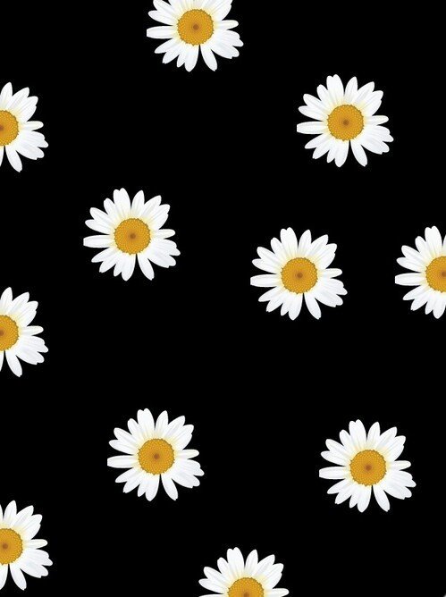 _MarceDiaz's profile banner image