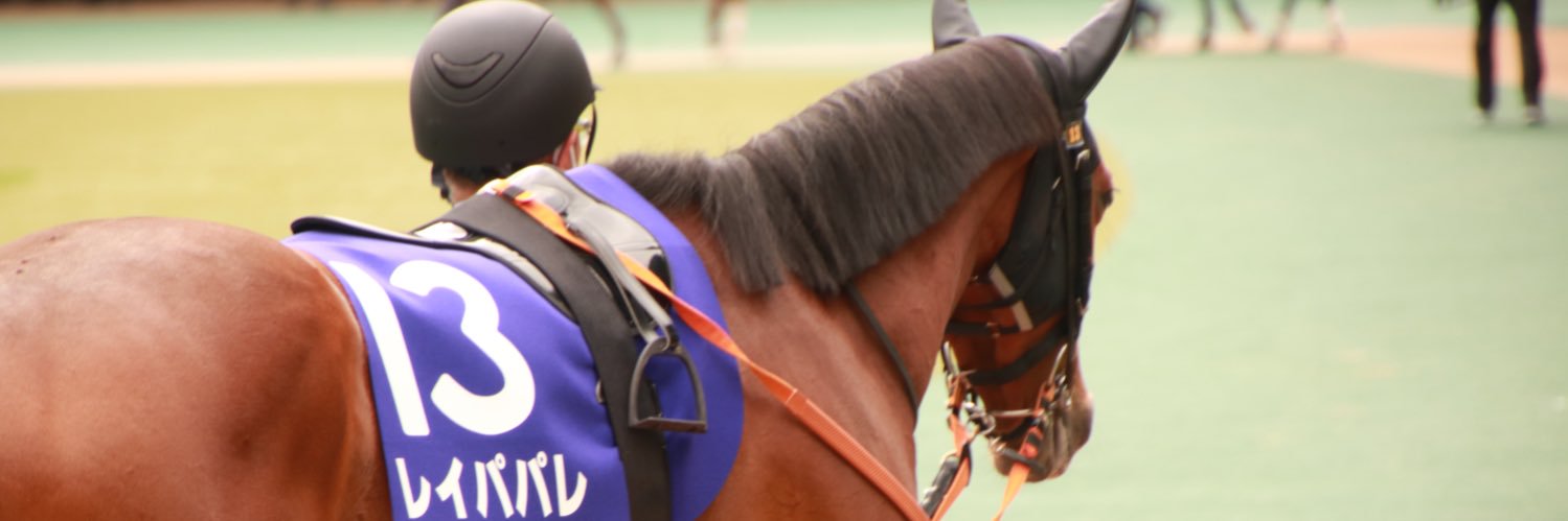 9610p_p's profile banner image