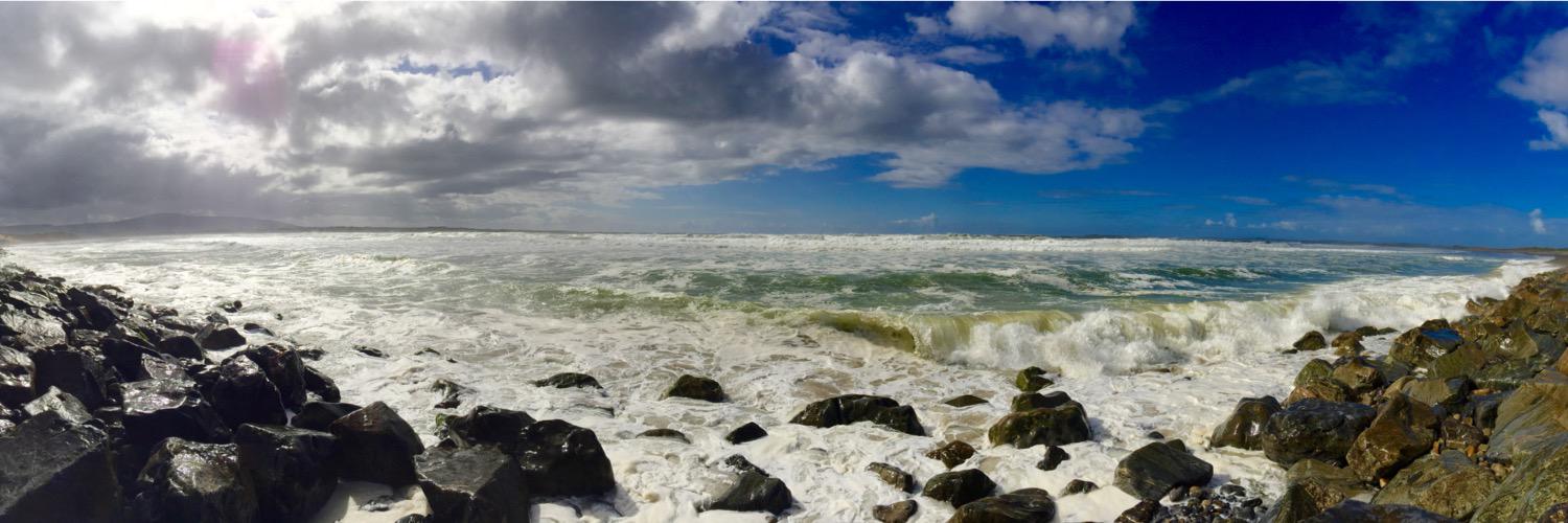 Nancy Rudback banner