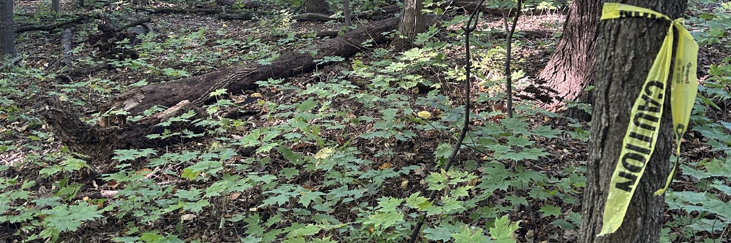 sam 🧸⭐️ banner