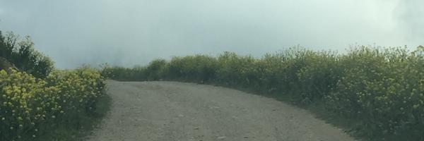 alshelahe Profile Banner