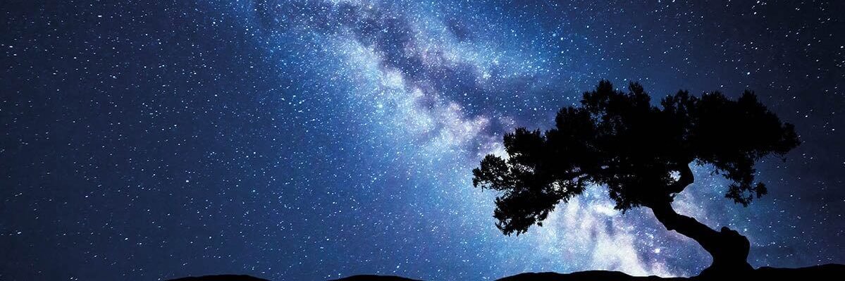 DevinCep424's profile banner image