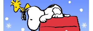 tsutsui6439's profile banner image