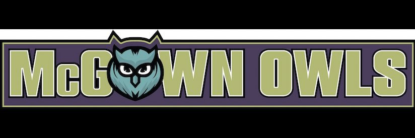 Catherine Sauer banner