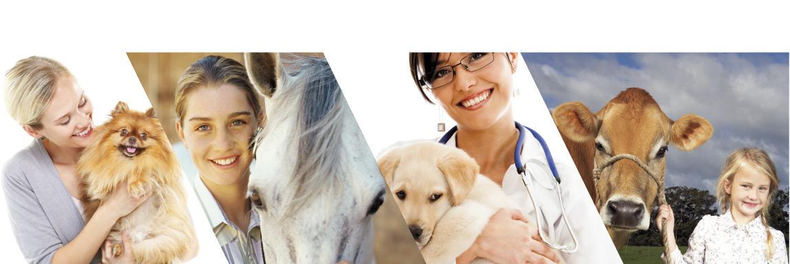 Wahl Animal USA banner