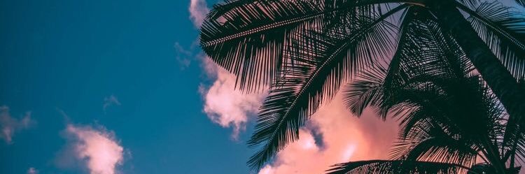alejandrarios59's profile banner image