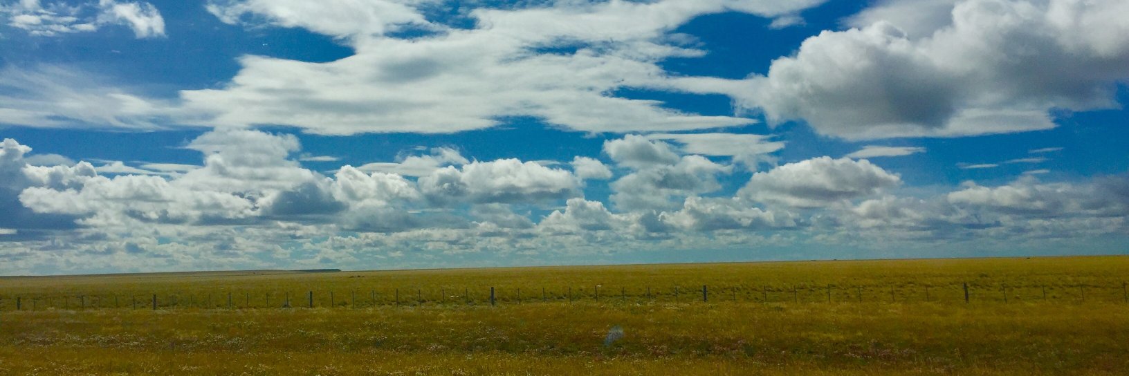 Red Rock Films banner