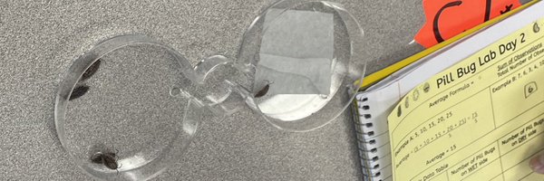 mrs_jramirez Profile Banner