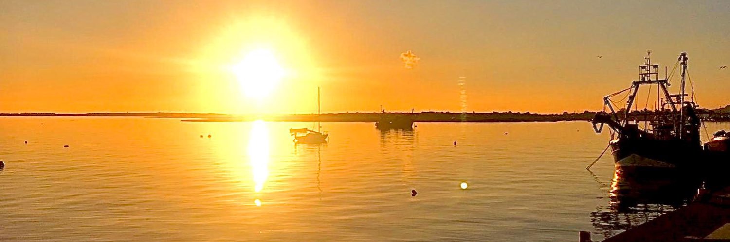 amybryan03's profile banner image