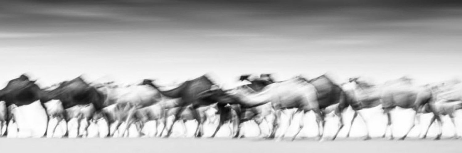 فيصل العرابي | Faisal Al-Arabi banner