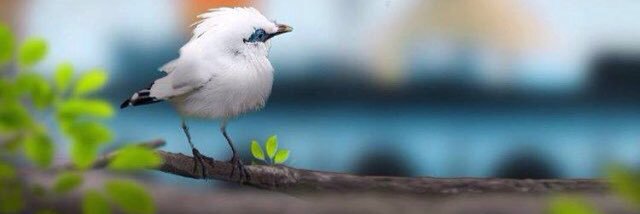 BasraoeMustfa's profile banner image