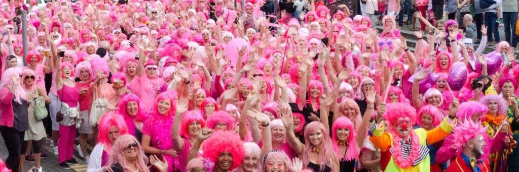 Pink Wig Events banner