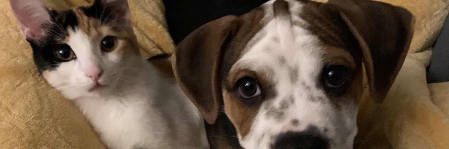malmalmalv's profile banner image