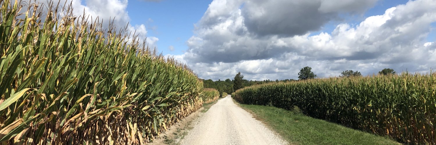 Brennan Woolley banner