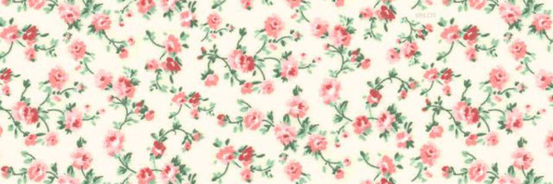 mitotina's profile banner image