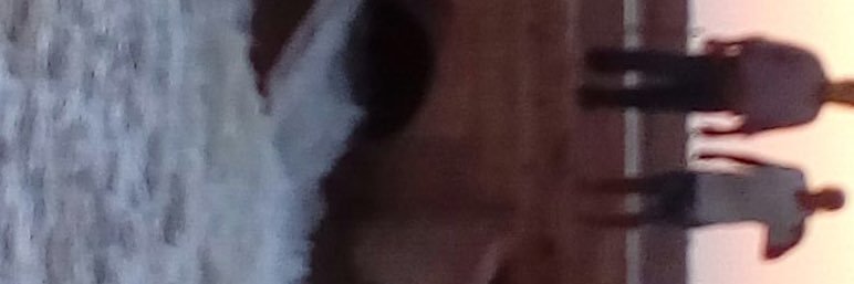 pedroalbertop14's profile banner image