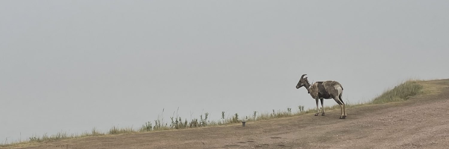 AaronnThomass's profile banner image