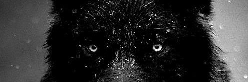 BigCDude's profile banner image