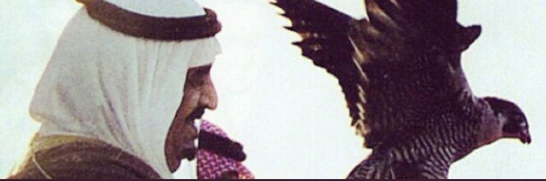 nada_hb's profile banner image