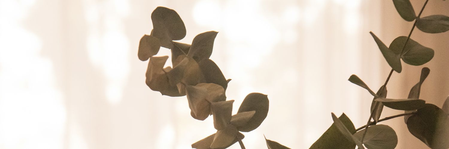 Marianaapd's profile banner image