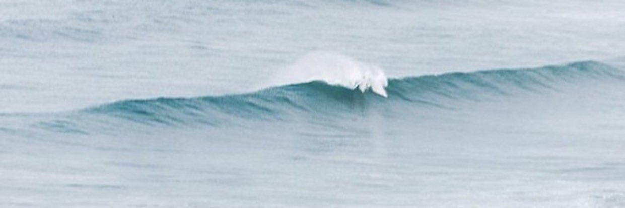 vivacious_viti's profile banner image