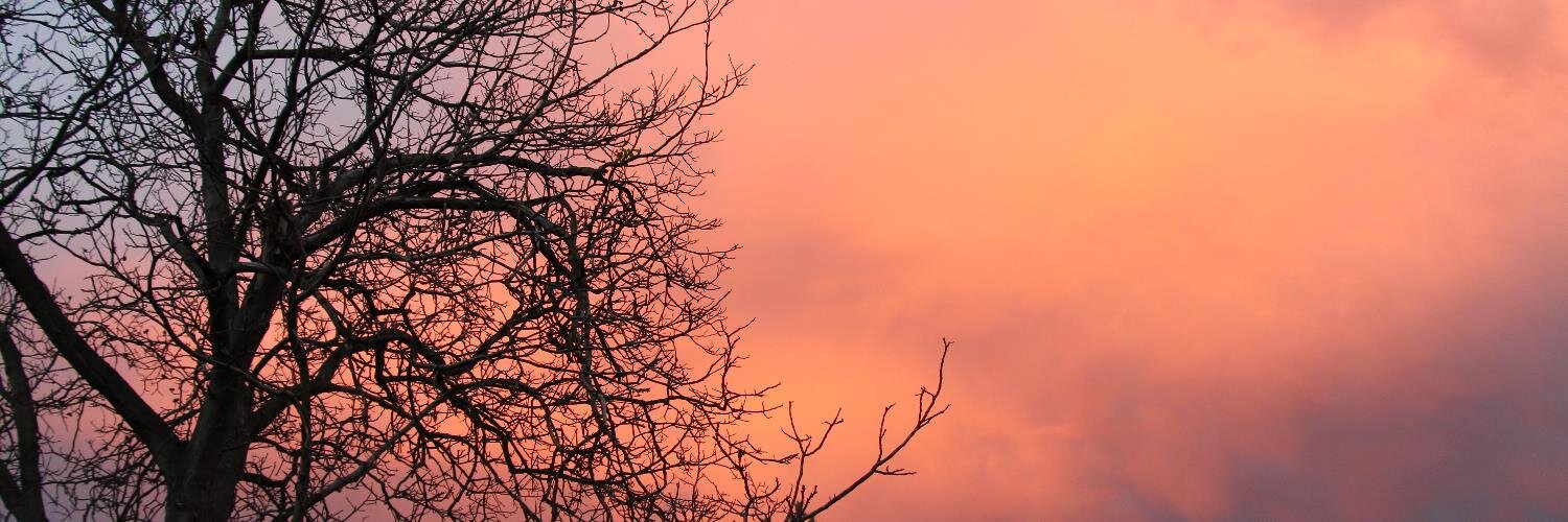 Jardakh's profile banner image