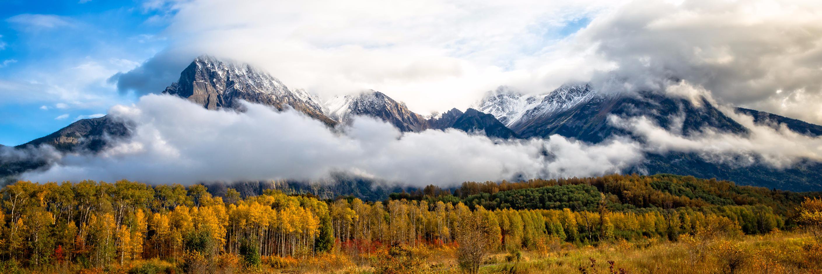 KitimatStikine EcDev banner