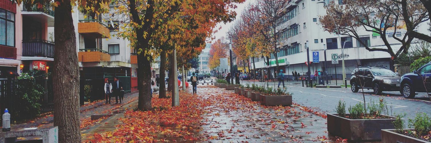 Martina Fernanda banner