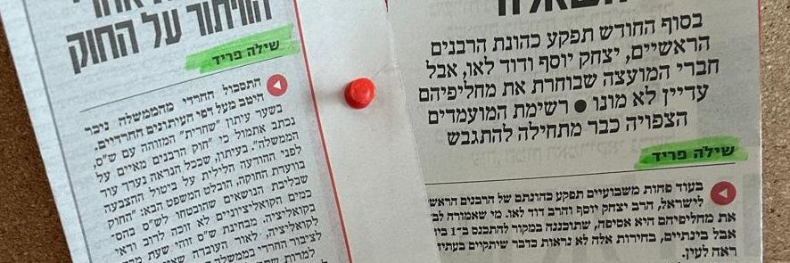 שילה פריד🇮🇱's banner