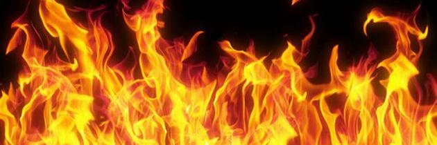 Flamingwasp2's profile banner image