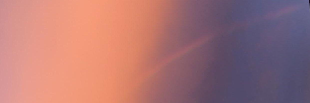 mirkavald's profile banner image