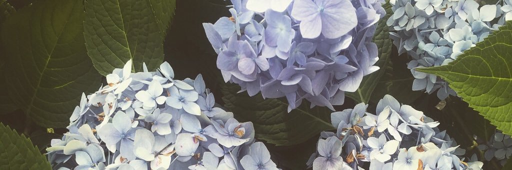 MorganArleth's profile banner image