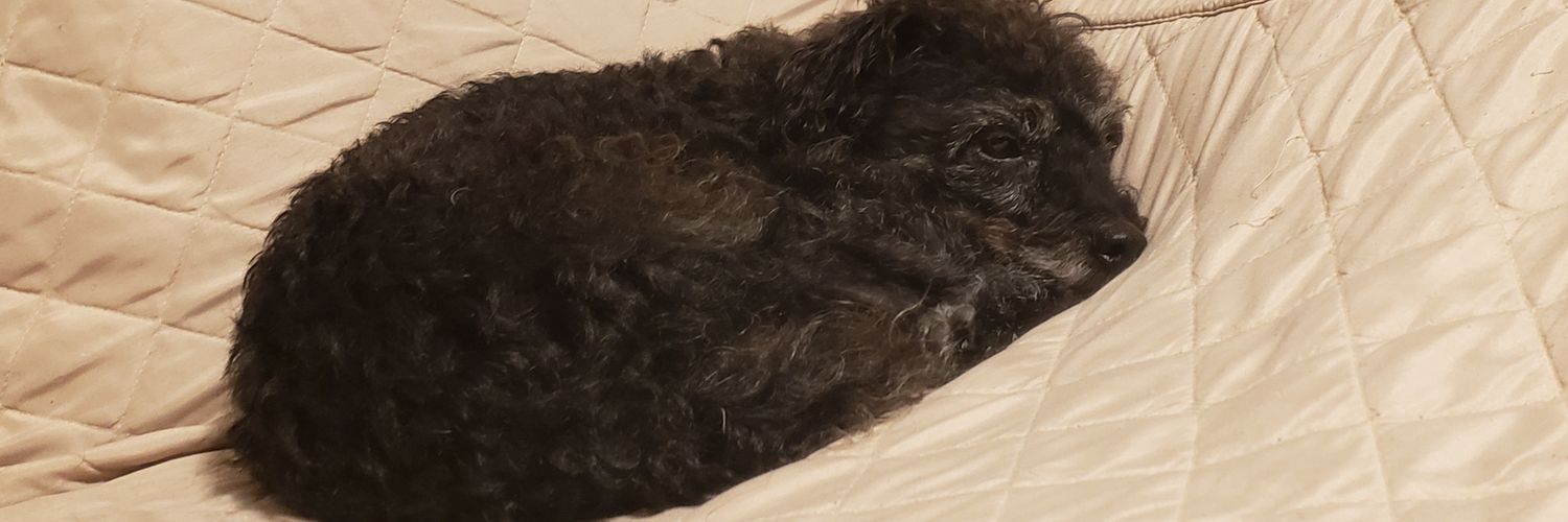 Jerucc's profile banner image
