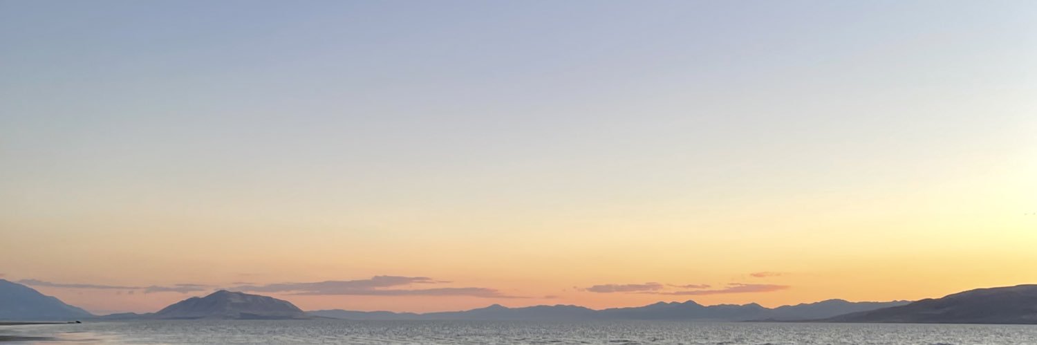 skylanash's profile banner image