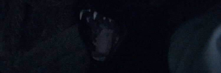 sociomemo's profile banner image