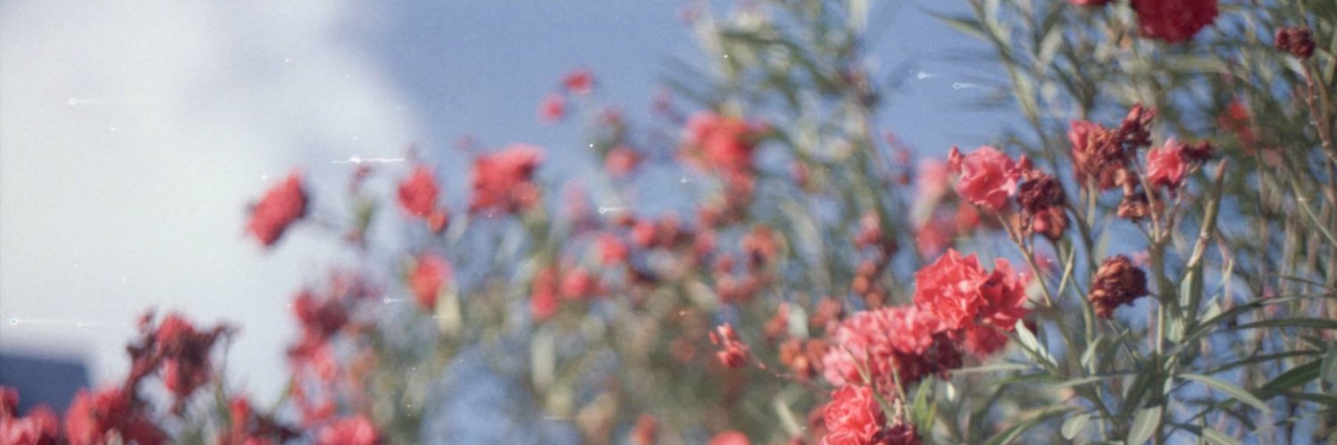 wilker_melo's profile banner image